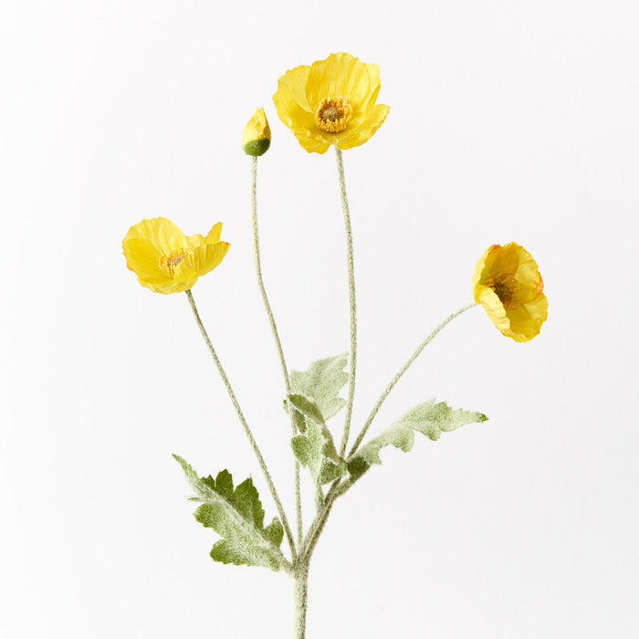 Poppy Iceland Spray Yellow 60cm Set of 12
