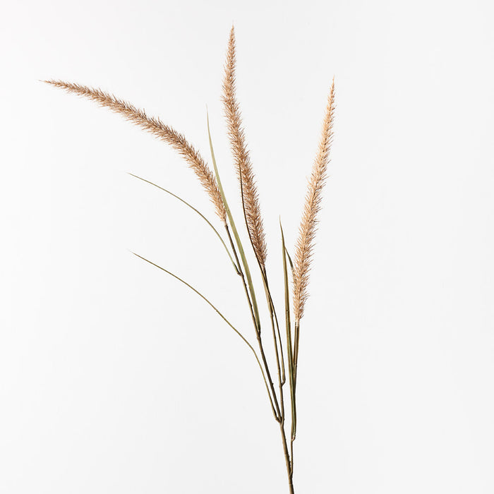 Fountain Grass Spray Coffee 130cm Set of 12