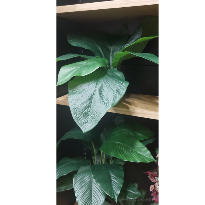 Spathiphyllum Leaf Plant 80cm Set of 2