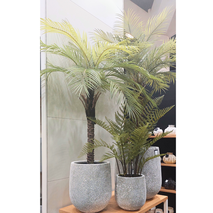 Palm Phoenix Tree Green 174cm Pack of 2
