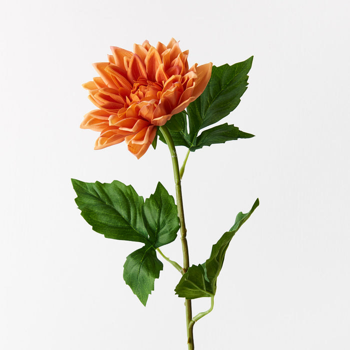 Dahlia Orange 54cm Set of 12