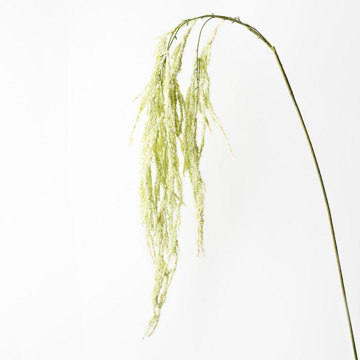 Amaranthus Spray Cream Green 172cm Set of 12