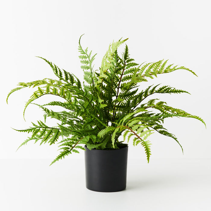 Fern Leather Plant UV Resistant Green 46cm Set of 4