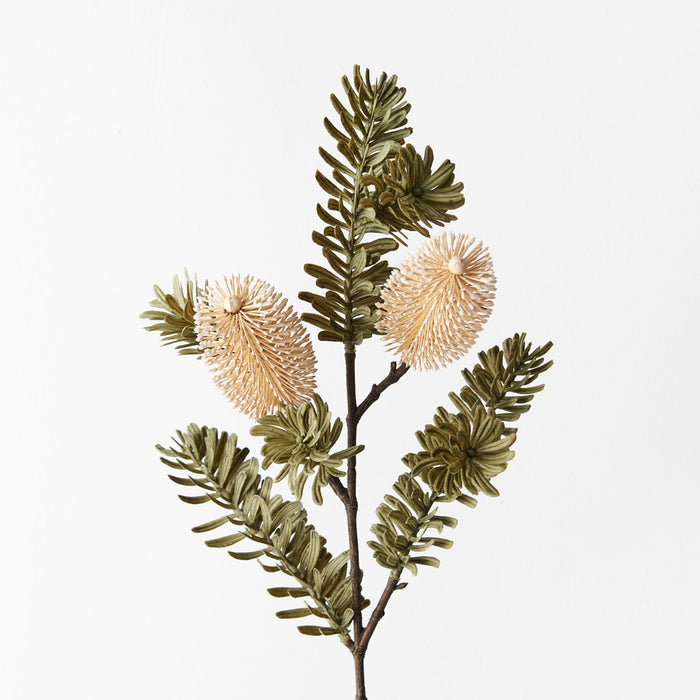 Banksia Spray Cream 66cm Set of 12