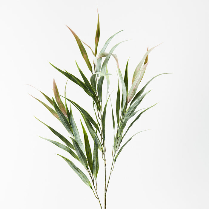 Eucalyptus Long Leaf Spray Green 84cm Set of 24