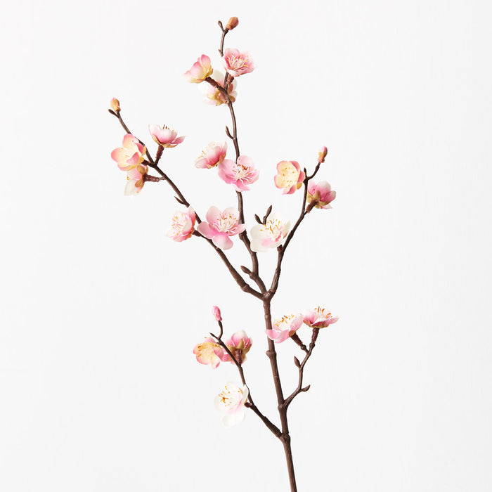 Blossom Plum Pink 50cm Set of 24