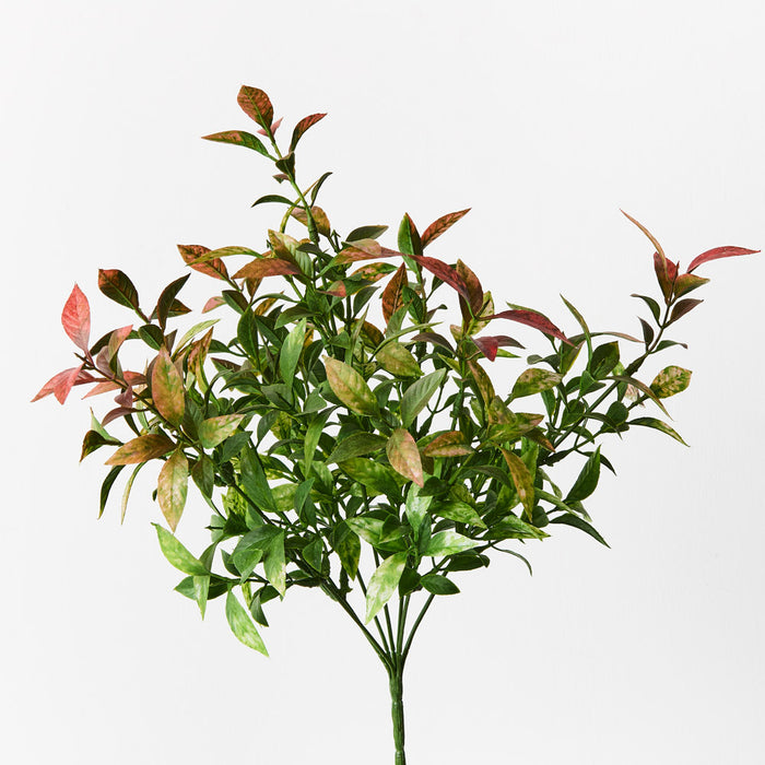 Ruscus Bush Red Green 43cm Set of 12