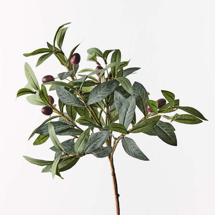 Olive Leaf Pick Grey Green 40cm Set of 12