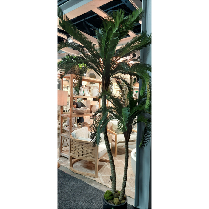 Cycus Palm Tree 220cm