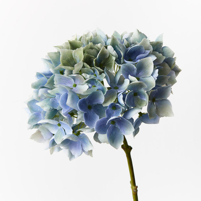 Hydrangea Light Blue 47cm Set of 12