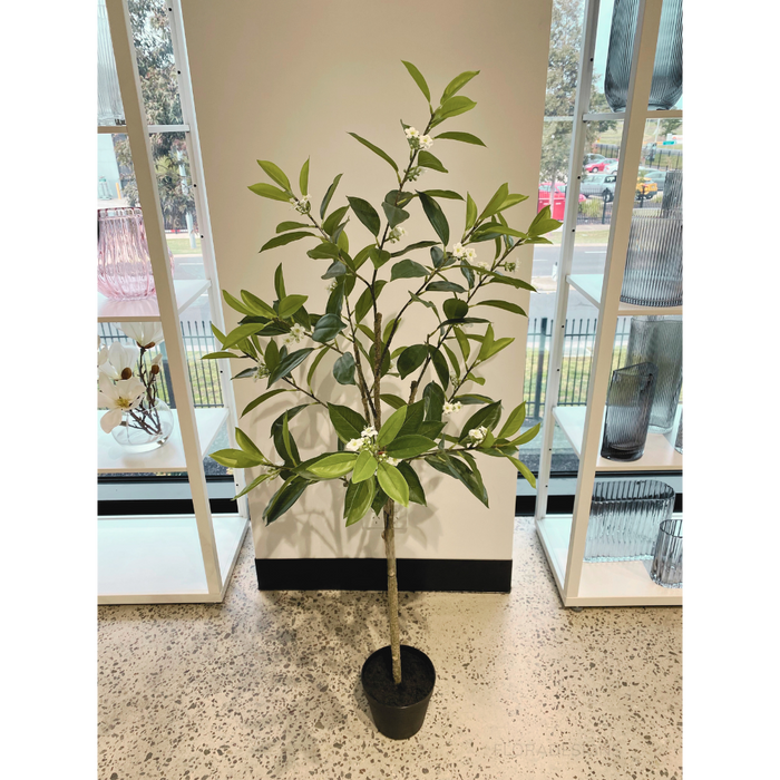 Orange Blossom Tree Green 120cm - Pack of 2- For Clearance