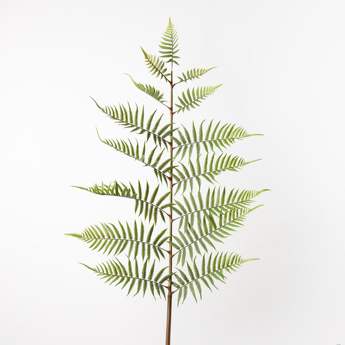 Fern Frond Green 167cm Set of 4