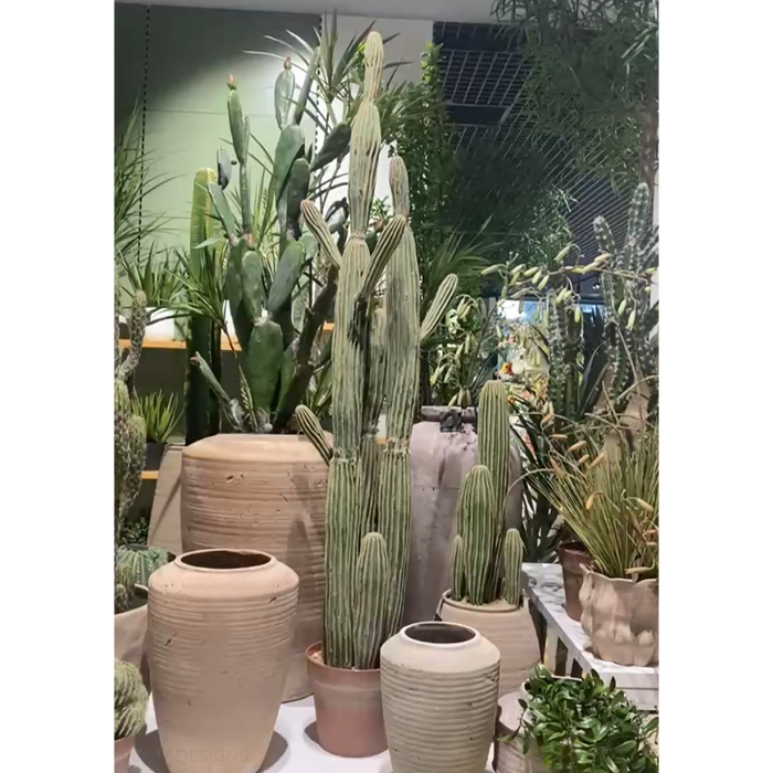 Cactus Column Plant Green Cream 152cm