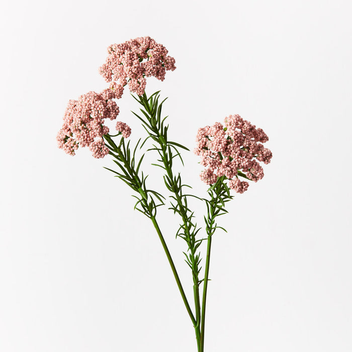 Berry Spray Pink 73cm Set of 12