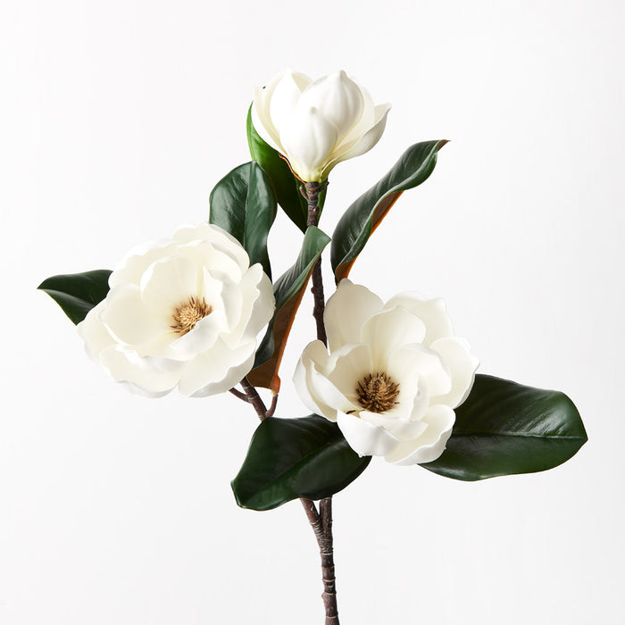 Magnolia Japanese Spray White 74cm Set of 12