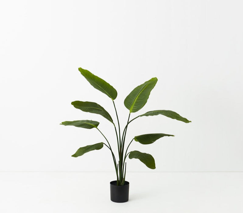Bird of Paradise Plant Green 120cm Set of 2
