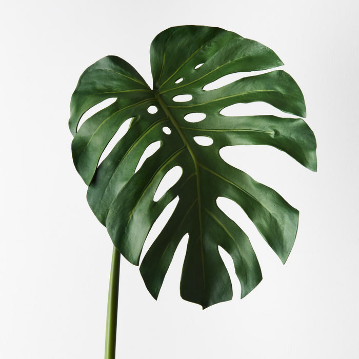 Monstera Leaf Green 76cm Set of 6