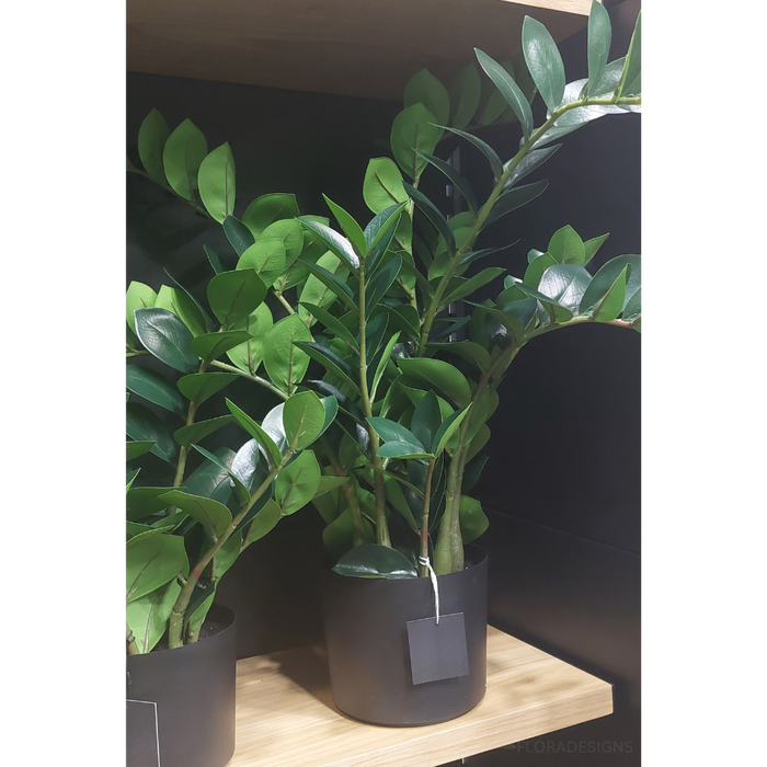 Zanzibar Gem Green 72cm Set of 2