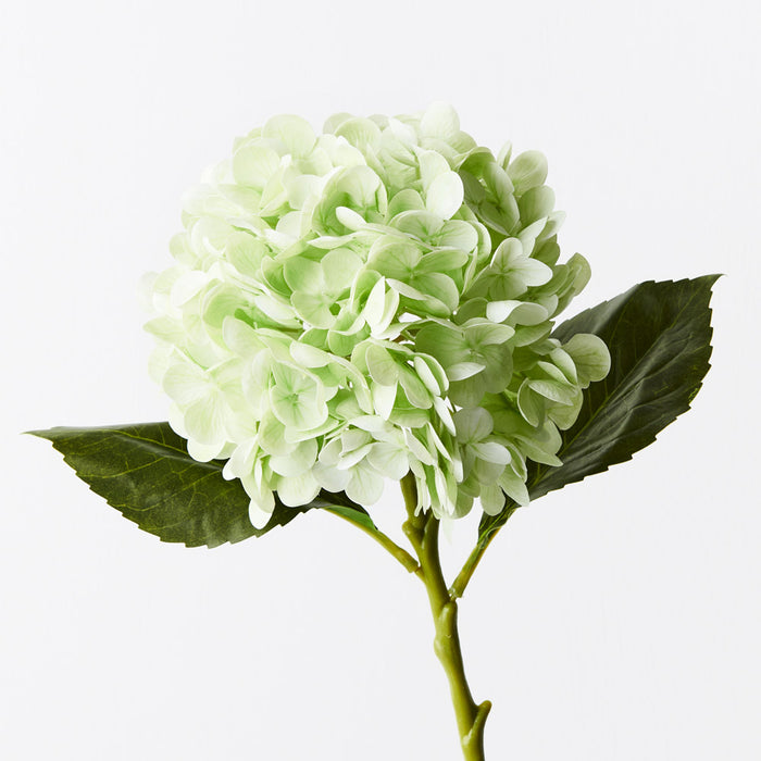 Hydrangea Light Green 49cm Set of 12