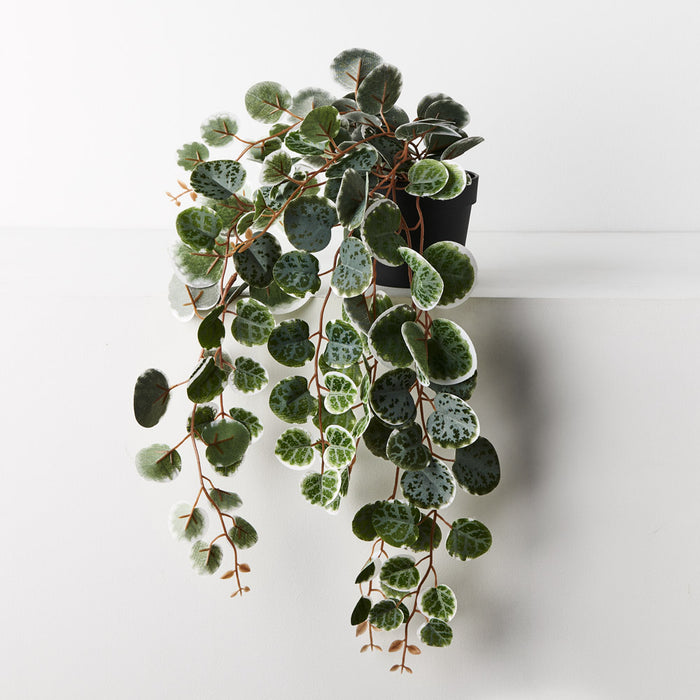 String of Hearts in Pot Green White 48cm Set of 6