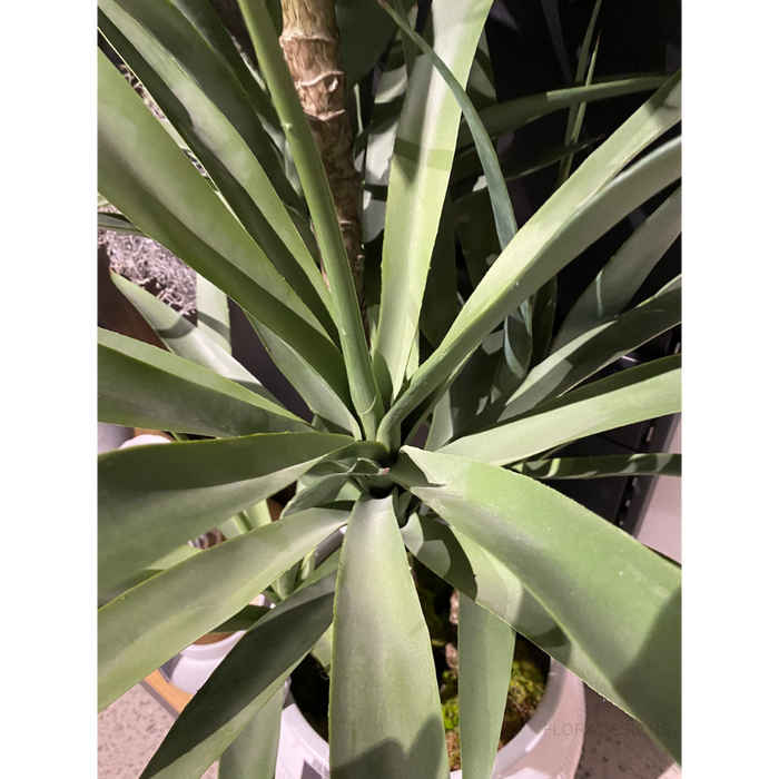 Yucca Plant Green 155cm