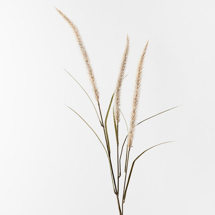 Fountain Grass Spray Cream 130cm Set of 12