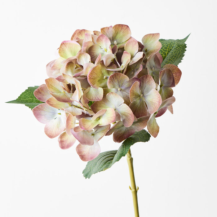Hydrangea Eggplant Green 63cm Set of 12