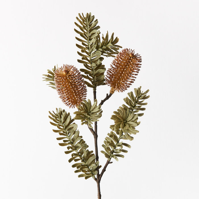 Banksia Spray Coffee 66cm Set of 12