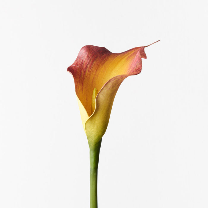 Calla Lily Flame Red 61cm Set of 24