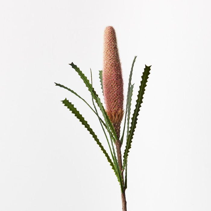Banksia Pencil Cone Pink 73cm Set of 12