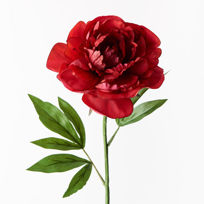Peony Red 63cm Set of 12