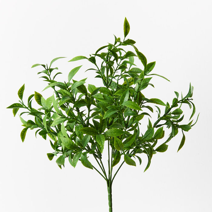 Ruscus Bush Green 43cm Set of 12