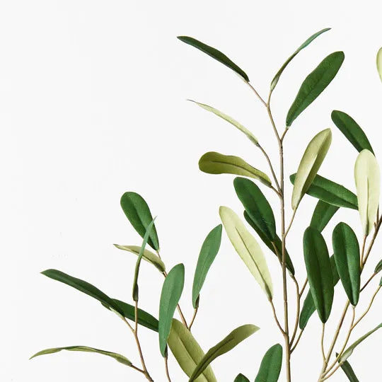 Olive Leaf Spray Green 92cm Set of 12
