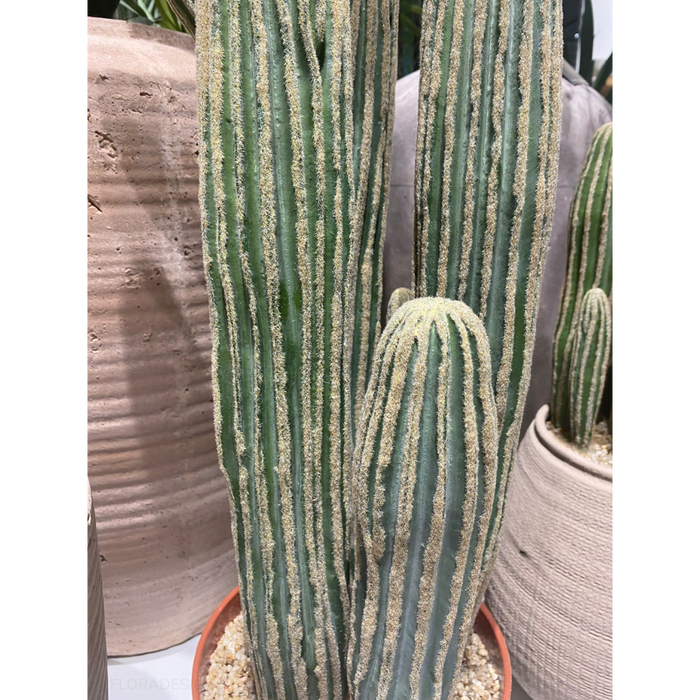Cactus Column Plant Green Cream 152cm