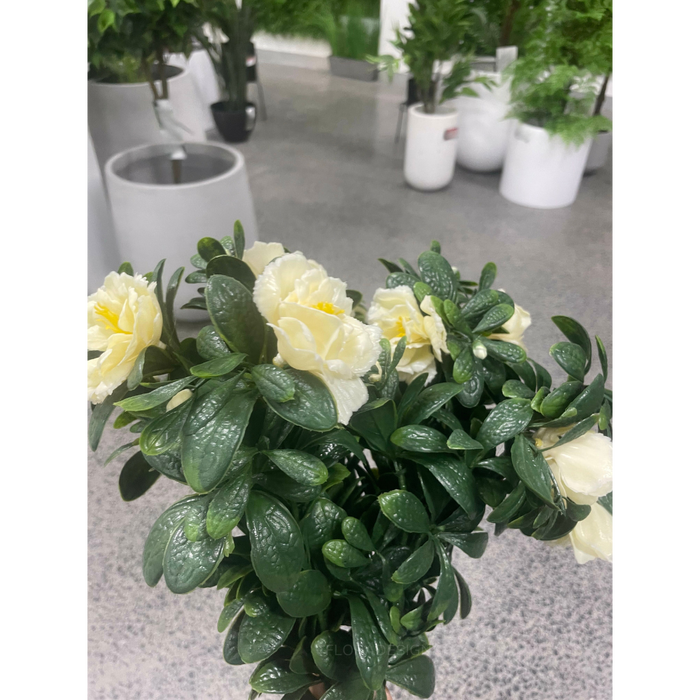 White Rose Bunch UV Resistant 45cm Set of 3