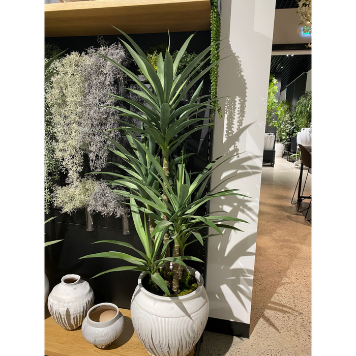 Yucca Plant Green 155cm