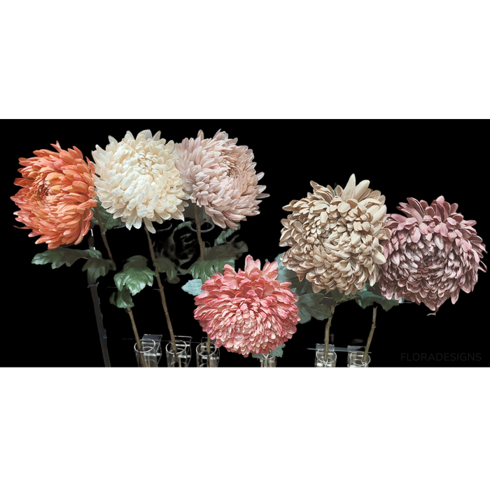 Chrysanthemum Cream 76cm - Pack of 12