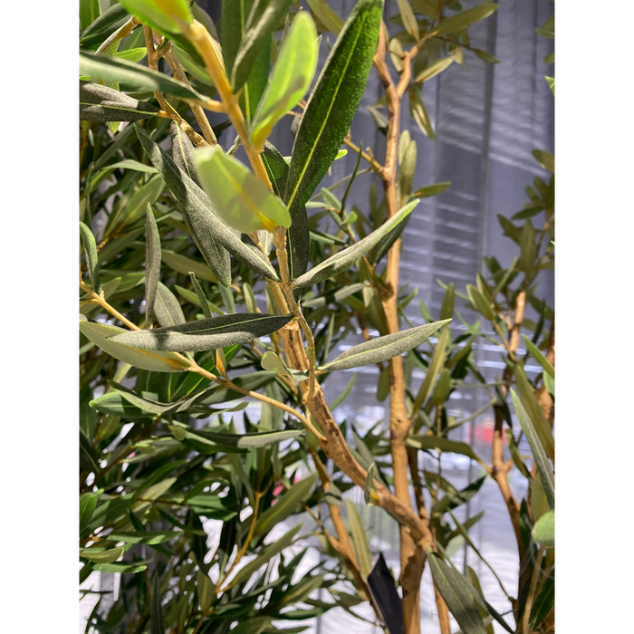 Olive Tree 183cm Grey Green Pack of 2