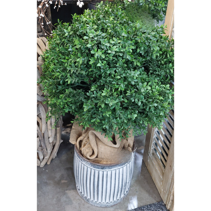 Boxwood Ball Topiary Tree 65cm
