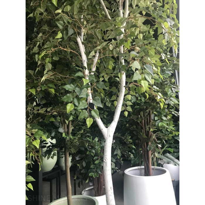 Silver Birch Tree Green 213cm Pack of 2