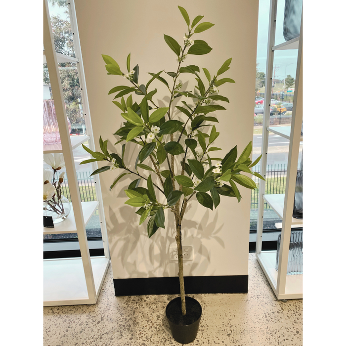 Orange Blossom Tree Green 120cm - Pack of 2- For Clearance