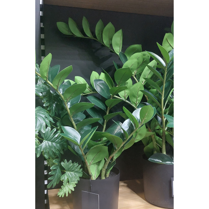 Zanzibar Gem Green 52cm Set of 2