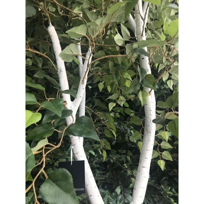 Silver Birch Tree Green 213cm Pack of 2