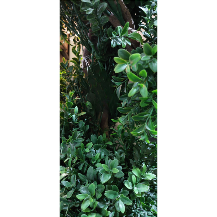 Boxwood Spiral Topiary Tree Budget 140cm