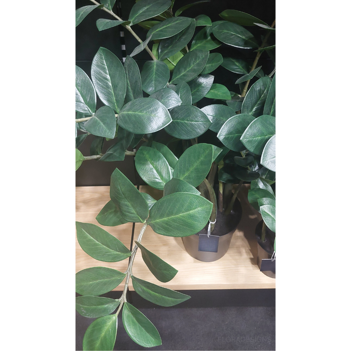 Zanzibar Gem Green 52cm Set of 2