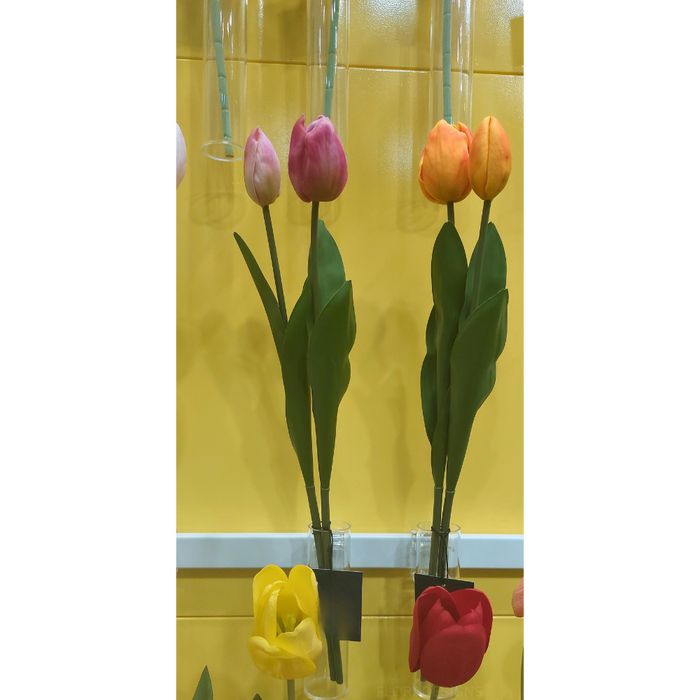 Tulip Bud & Bloom Fuschia 49cm 2 Pieces - Pack of 12