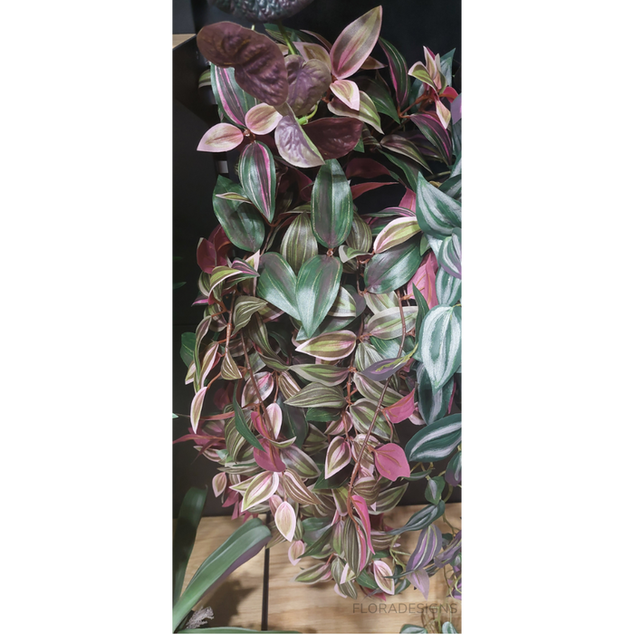Wandering Jew Hanging Bush Green Burgundy 93cm Pack of 6