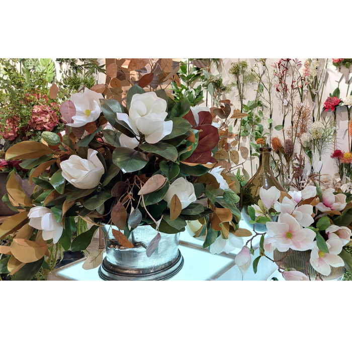 Magnolia Short Stem White 60cm Pack of 12