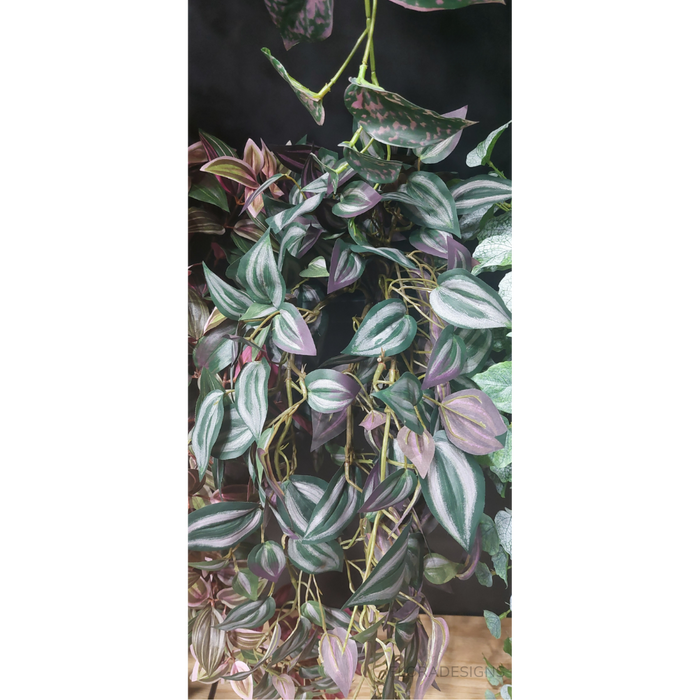 Wandering Jew Hanging Bush Dark Green 100cm Pack of 6