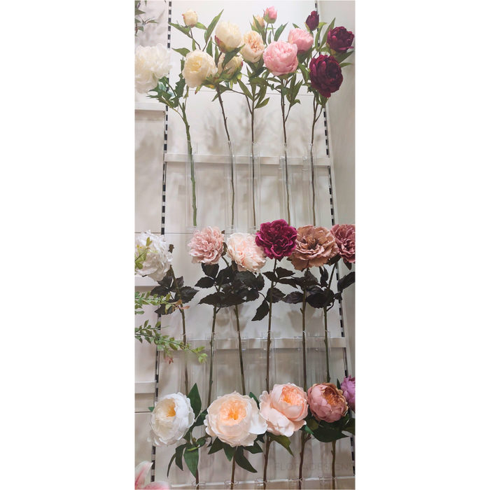 Peony Stem Cream 74cm - Pack of 12